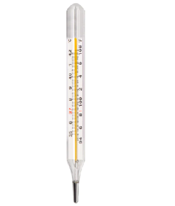 Mercury Thermometer - Normal