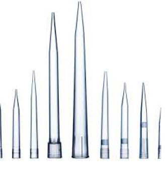 Pipette Tips - 1000µL