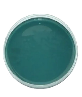 CLED Agar - 500 G