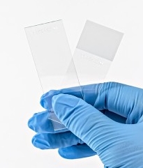 MICROSCOPE SLIDE,FROSTED