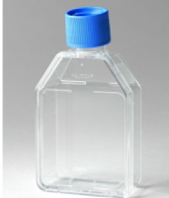 Tissue Culture Treated Flasks - 70 ML