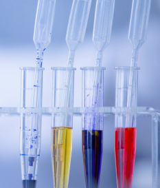 CES (Capillary Electrophoresis Sequencing)