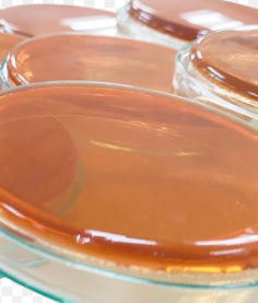 Malt Extract Agar 500 g