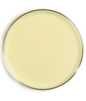 Plate count agar - 500 G