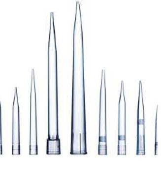 Pipette Tips - 50µL